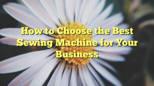 Read more about the article How to Choose the Best Sewing Machine for Your Business