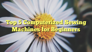 Read more about the article Top 5 Computerized Sewing Machines for Beginners